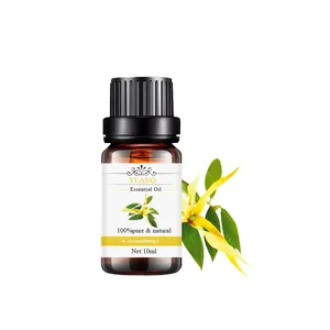 Parfum de luxe fleur pour aromathérapie cheveux pousse 100% pur fournisseur en vrac organique huile essentielle d'ylang ylang