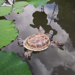 Sculpture flottante en résine faite à la main et peinte à la main en forme de tortue pour <span class=keywords><strong>jardin</strong></span> et étang - Product Image 4