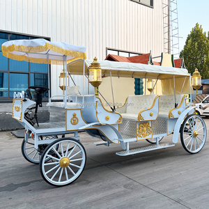 Nouvelle Carrosse Électrique Citrouille Yiyang pour Mariage et Visites Touristiques, Modèle <span class=keywords><strong>Cendrillon</strong></span>, 4-6 Personnes, Couleurs Personnalisables - Product Image 2