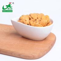 Collation de haricots fava premium, croustillants, protéines végétales, vente en gros