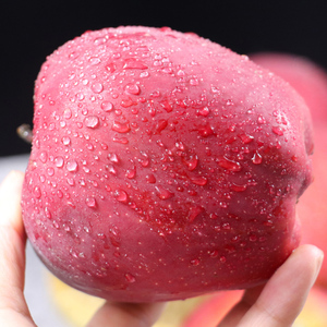 Nhập khẩu trái cây tươi ngọt hữu cơ táo đỏ <span class=keywords><strong>Fuji</strong></span> táo tươi táo táo <span class=keywords><strong>fuji</strong></span> số lượng lớn Trung Quốc - Product Image 2