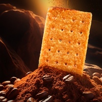 Échantillon Gratuit : Concentré d'Huile Aromatique au Café, Arôme Artificiel Riche et Lacté pour Crèmes Glacées, Pains, Biscuits et Snacks