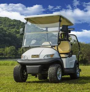 Vente flash : voiturette de golf électrique 2 places avec batterie au lithium, 4 roues, vitesse de 24 km/h et capacité de charge de 300 kg - Product Image 1