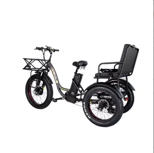 Electric Rickshaw Fat Tire 750W E Trike 2 Seats Adult 3 Wheel Fat Tire Eiectric Tricycle