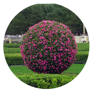 Big Landscape flower plastic ball shaped planter for garden