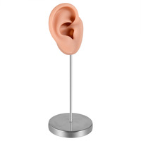 Présentoir à faible coût pour modèles d'oreilles en silicone avec base métallique argentée, support d'affichage pour boucles d'oreilles, accessoires d'oreille, modèle d'oreille pour piercing