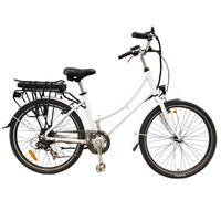 Sepeda Listrik, bingkai logam campuran 26 inci 21 kecepatan 36V 250W baterai Lithium uniseks sepeda kargo e Bike nexus 7 nexus 3 rem rol