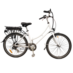 <span class=keywords><strong>Cadre</strong></span> en alliage 26 pouces 21 vitesses vélo électrique 36V 250W batterie au lithium unisexe e bike cargo e bike nexus 7 nexus 3 roller brake - Product Image 2