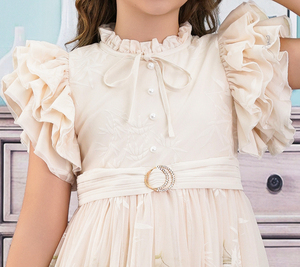 Abito da <span class=keywords><strong>ballo</strong></span> elegante da ragazza con maniche arricciate con stampa a inchiostro cinese farfallino-per il compleanno di nozze della festa della principessa (SA5933) - Product Image 3