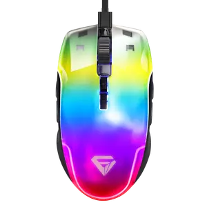 2023 nuovo Mouse da gioco Wireless cablato di tipo C leggero Rgb trasparente trasparente