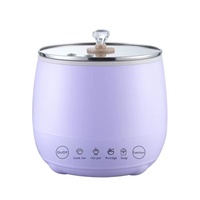 Nouveau multi-fonctionnel en gros Mini cuiseur à riz électrique opération Simple antiadhésif Mini cuiseur à riz Portable pour le ménage