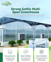 Grande serre agricole multi-travées en film plastique pour culture hydroponique, tunnel de culture pour ferme commerciale