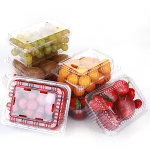 RPET/PET Kunststoff Obst Körbchen Lebensmittel behälter Boxen Salat knuspriger Clam shell Verpackung Obst Box