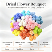Groothandel Gedroogde Natuurlijke Bloemen Windmolen Fruit Bloemstukken Tafelkleed Bloemdecoratie DIY Materialen Bruidsbloemen