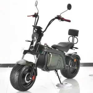 Electric Scooters 2000 Watts Elektro Scooter 2000W 60V Ce Lvd Fcc Rohs Emc