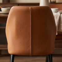 Ensemble de 2 chaises de salle à manger scandinaves modernes du milieu du siècle, revêtement en velours, structure métallique, écologiques et durables, pour salons et maisons