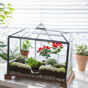 ขวดแก้วรูปทรงเรขาคณิตสำหรับเรือนกระจกแก้วบ้านดอกไม้ในสวนสินค้าขายส่ง - Product Image 3