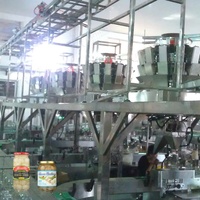 LWT Automatische Grote Knoflookverwerkingsmachine Reiniging Breken Schillen Sorteren Groente Fruit Drooglijn Friteuse Hoog