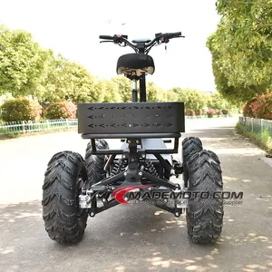 Double Protection On Over Loading Scooty Quad 48v 800w Atv Parts Electric Car Rear Axle 8000W 4 Wheeler