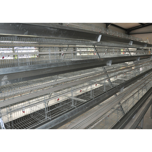 Équipement agricole de haute qualité pour poulets de chair et poules pondeuses, poulailler - Product Image 4