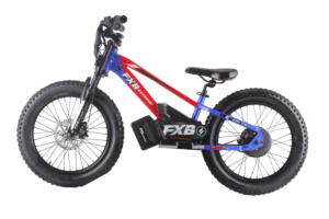Vélo électrique pour enfants 2025, vélo électrique 800W 36V 10.0AH 20 pouces, style FXB, mini vélo électrique pour enfants, vélo électrique à équilibrage - Product Image 4