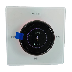 Amplificatore Audio Tianlai ad Alta Potenza 20Hz-20Khz per Dispositivi Smart Home - Product Image 3