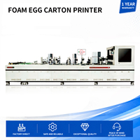 Impresora de Etiquetas UV para Cajas de Huevos Ecológicas con Diseño Promocional de Ilustraciones Personalizadas y Funciones Adaptables