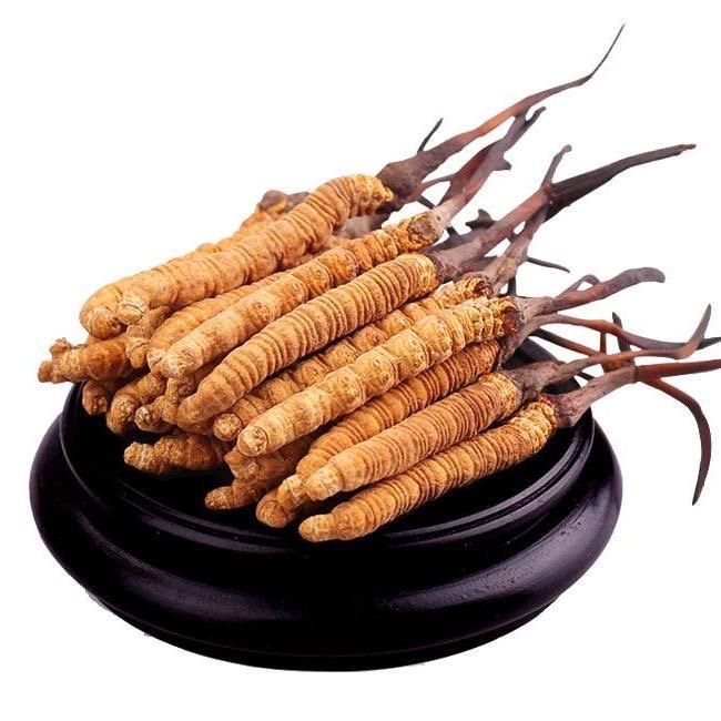 Bulk Pure Cordyceps Militaris Mushroom Cordyceps Extract Chinese Medicine Dried Cordyceps Sinensis