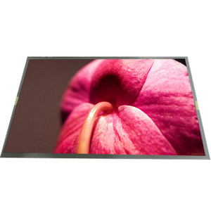 Écran LCD WLED lumineux et dernier cri LM240WUA-SSD2 de 24,0 pouces 1920*1200 - Product Image 1