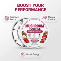 Complément Alimentaire Énergisant aux Champignons 400mg – Sachet Menthe Caféine pour la Concentration et le Soutien de la Santé Cérébrale
