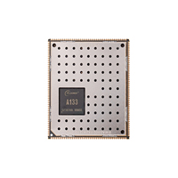 Placa SoM Runwelltek RWA030-D3X2 Económica para Orange Pi y Raspberry Pi, Allwinner A133, 2xDDR3 1GB RAM, 8/32/64GB EMMC, Montaje SMT