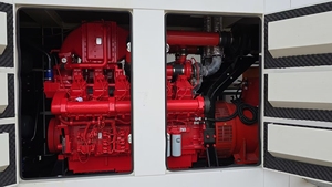 Grupo Electrógeno de Gas de 400 Kw con Sistema de Arranque Automático para Centrales Eléctricas Naturales, Voltaje 220V/240V - Product Image 6