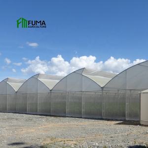 FM Blueberry Grow <span class=keywords><strong>Kit</strong></span> de serre commerciale pour l'agriculture <span class=keywords><strong>en</strong></span> tunnel de haute qualité <span class=keywords><strong>Abri</strong></span> de pluie à travée multiple - Product Image 4