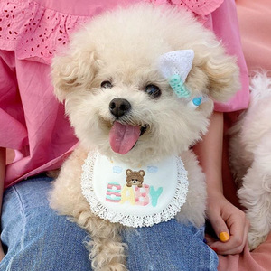 Lindo Babero Bordado con Diseño de Oso Coreano para Perros, Babero para Mascotas, Babero para la Saliva, Bichón Frisé, Oso de Peluche, Pomerania, Bufanda para Gatos - Product Image 1