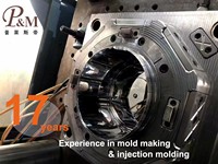 Service de fabrication de moules d'injection plastique sur mesure P&M avec ingénierie de qualité
