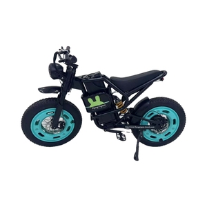 18 "/20" phổ biến chất béo lốp xe đạp điện (FP-EB25001) - Product Image 1