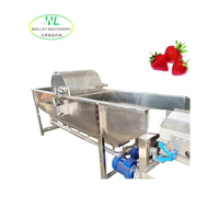 China Groenteverwerkingsfabriek Fruitbellenwasmachine met motor en pomp Multifunctioneel