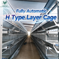 Système d'alimentation automatique pour cages à poulets de type H personnalisées, équipement de cages en batterie pour l'élevage de poules pondeuses en Afrique