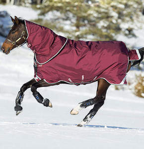 Couverture d'hiver matelassée pour chevaux, grande taille, très résistante, en tissu Ripstop imperméable 600D/1680D, sangles renforcées, logo personnalisé, lavable en machine - Product Image 4