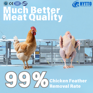 Dây chuyền giết mổ gà nhỏ lắp ráp sẵn không cần lắp đặt, chỉ cần cắm vào lò mổ gia cầm 1000 chim/giờ dễ dàng - Product Image 2