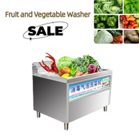 Laveuse d'ozonage écologique pour fruits et légumes, pour la transformation alimentaire biologique, usage commercial, grande capacité, compatible avec les noix