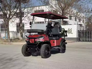 Carrito de Golf Eléctrico con Batería de Iones de Litio BD09, Buggy de Caza, Carro de Golf para Caminos No Públicos - Product Image 6