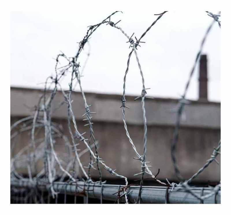 Hot Dip Galvanized Barbwire 500m Barb