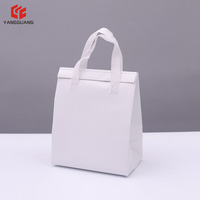 Sac Isotherme Six Canettes Robuste en Non-Tissé avec Logo et Taille Personnalisés, Isolation Thermique en Feuille d'Aluminium, pour Vente en Gros