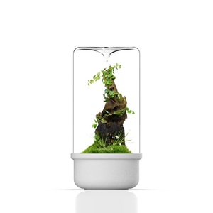 Terrarium en verre Bioloark - <span class=keywords><strong>Aquarium</strong></span> miniature de bureau pour la décoration du salon Noir/Blanc MH-80/100/120 - Product Image 3