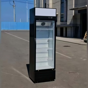 Congelador vertical comercial con vitrina para bebidas, ampliamente utilizado como enfriador y refrigerador. - Product Image 4