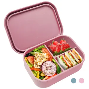 Aangepaste Bpa Gratis Food Grade Siliconen Lekvrije Voedselopslagcontainers Magnetron Veilige Bento Lunchbox Set