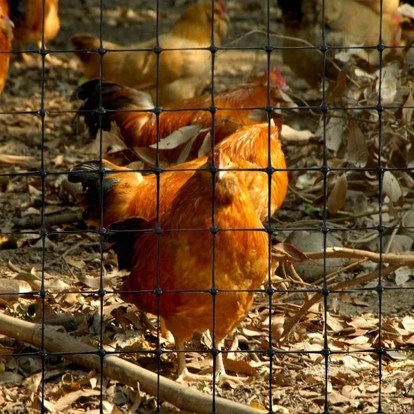 Chicken Netting Fence