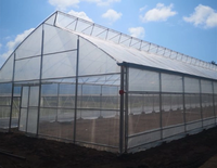 Serre en film plastique facile à installer pour l'agriculture, tunnel polyvalent pour légumes et fleurs, serre de 8 m avec filet anti-insectes – Vente chaude