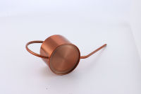 Bidon d'eau extérieur et intérieur en acier inoxydable en métal avec long bec pour le jardinage pour plantes et fleurs Utilisation durable en intérieur et en extérieur